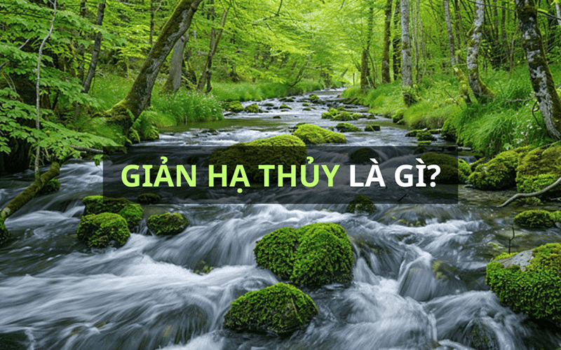 Phong thủy cho người Giản Hạ Thủy với màu sắc và vật phẩm may mắn
